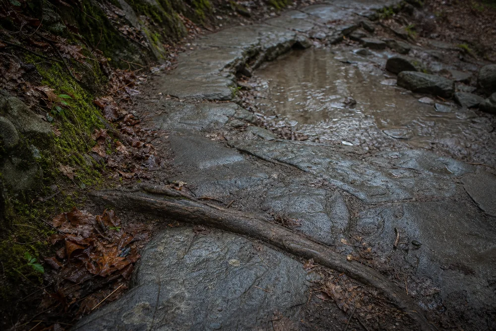 Wet switchback corner with polished grey stone and an exposed tree root crossing the tread, water pooling at the low inside point - descending switchbacks | KnowOutdoor
