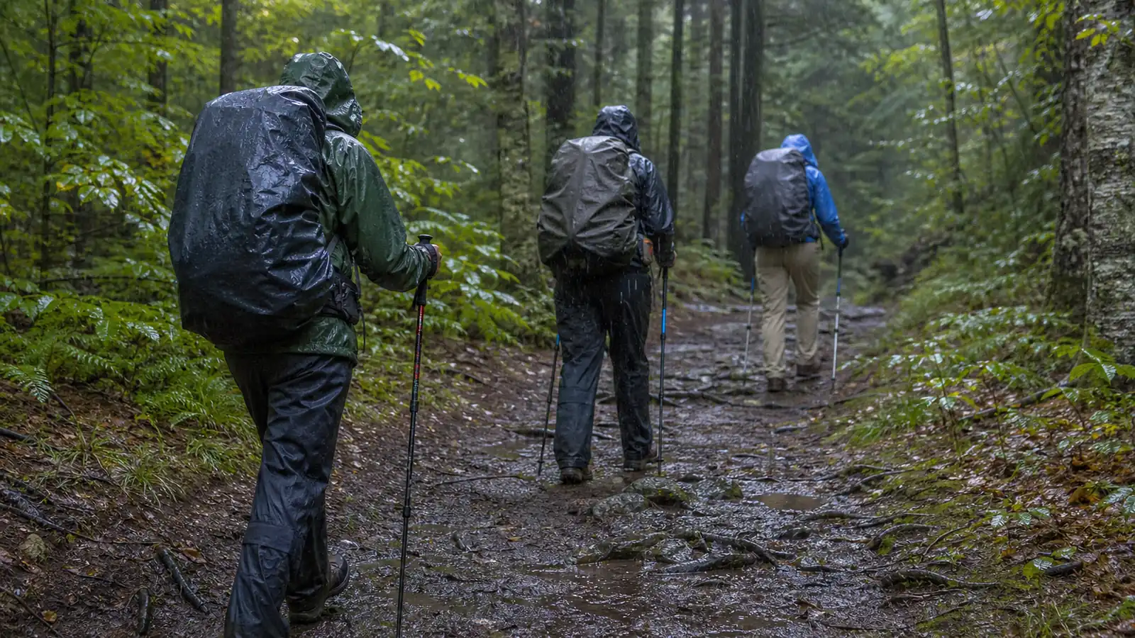 Trekking in the Rain: Protect Recovery From One Day to the Next